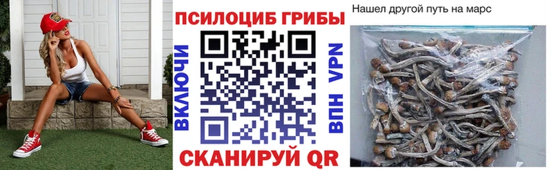 Галлюциногенные грибы мицелий  Ипатово 